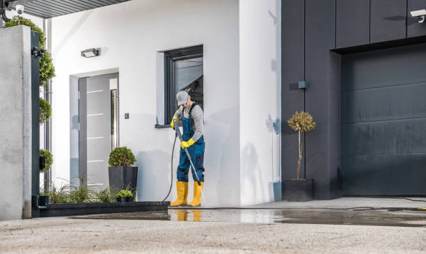 Best Fence Cleaning  in Amesti, CA